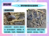 冀少版生物八下7.1.1.1 环境对生物的影响《非生物因素对生物的影响》课件+教案+学案+素材