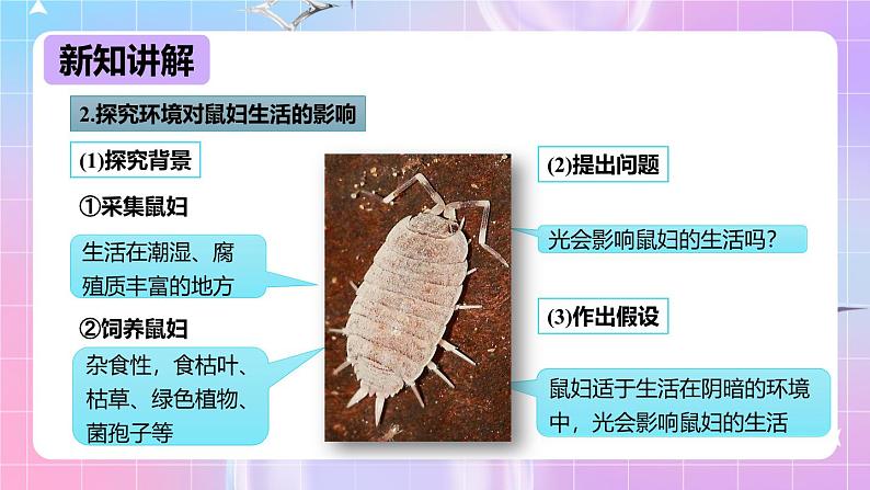 冀少版生物八下7.1.1.1 环境对生物的影响《非生物因素对生物的影响》课件第5页