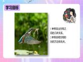 冀少版生物八下7.1.1.2 环境对生物的影响《生物因素对生物的影响》 课件+教案+学案+素材