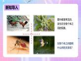 冀少版生物八下7.1.1.2 环境对生物的影响《生物因素对生物的影响》 课件+教案+学案+素材