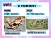 冀少版生物八下7.1.1.2 环境对生物的影响《生物因素对生物的影响》 课件+教案+学案+素材