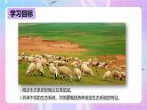 冀少版生物八下7.2.1《《生态系统的组成和类型》课件+教案+学案+素材
