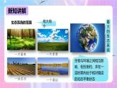 冀少版生物八下7.2.1《《生态系统的组成和类型》课件+教案+学案+素材