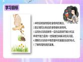 冀少版生物八下7.2.2《食物链和食物网》课件+教案+学案+素材