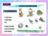 冀少版生物八下7.2.2《食物链和食物网》课件+教案+学案+素材