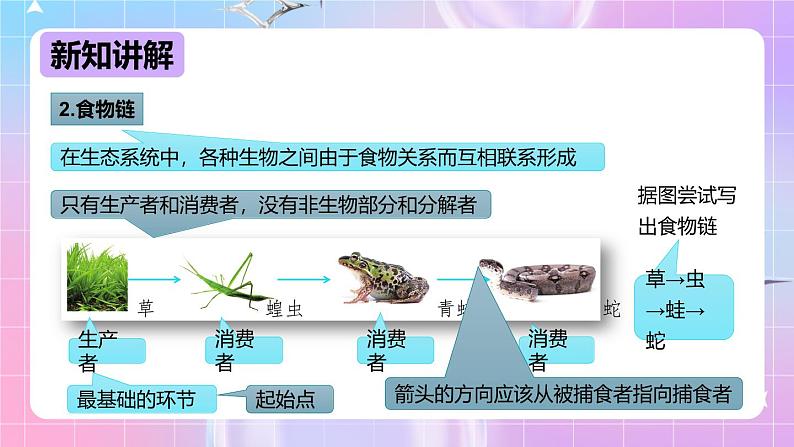 冀少版生物八下7.2.2《食物链和食物网》课件第6页