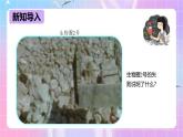 冀少版生物八下7.2.3《生物圈》课件+教案+学案+素材