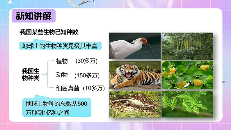 冀少版生物八下7.3.3《保护生物多样性》课件第7页