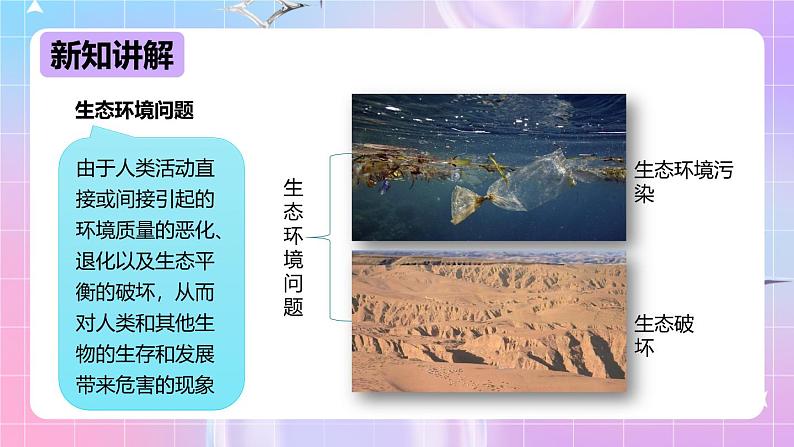 冀少版生物八下7.3.4 《保护生态环境》课件第4页