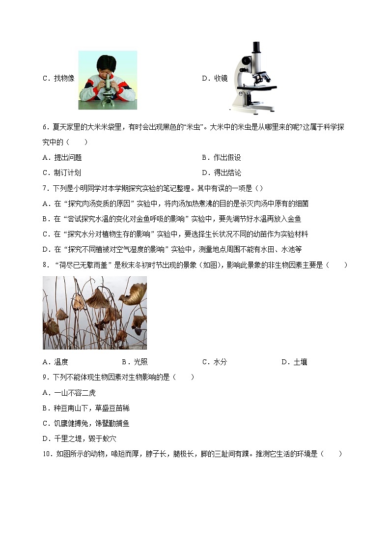 江苏省徐州市2023-2024学年七年级上学期期末生物试卷（含答案解析）第2页
