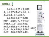 第五章 人体内废物的排出 (课件)-2024-2025学年人教版(2024)生物七年级下册