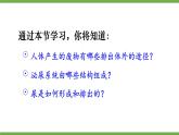 第五章 人体内废物的排出 (课件)-2024-2025学年人教版(2024)生物七年级下册