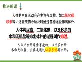 第五章 人体内废物的排出 (课件)-2024-2025学年人教版(2024)生物七年级下册
