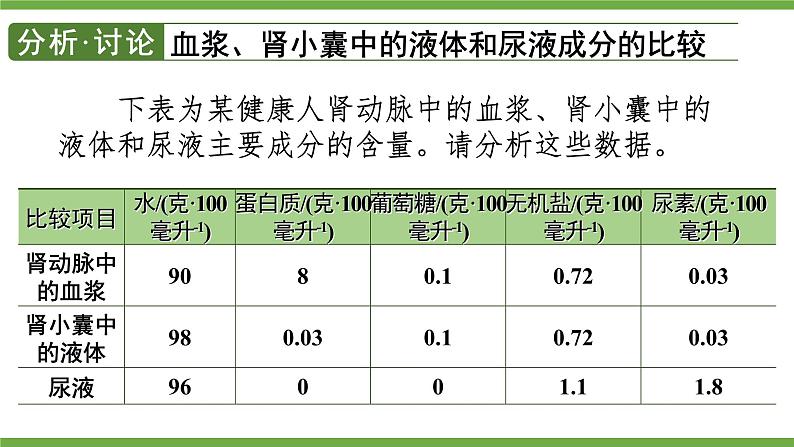 第2课时 尿的形成和排出第7页