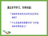 3.2.1 水的利用与散失 (课件)-2024-2025学年人教版(2024)生物七年级下册