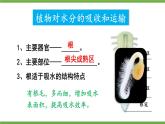 3.2.1 水的利用与散失 (课件)-2024-2025学年人教版(2024)生物七年级下册