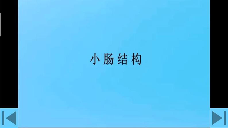 第2课时 营养物质的吸收第5页