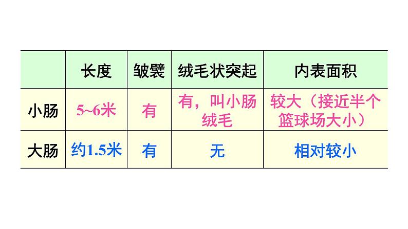 第2课时 营养物质的吸收第7页