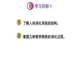 4.2.2 消化和吸收  (课件)-2024-2025学年人教版(2024)生物七年级下册
