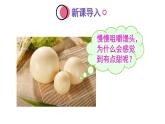 4.2.2 消化和吸收  (课件)-2024-2025学年人教版(2024)生物七年级下册