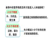 4.2.2 消化和吸收  (课件)-2024-2025学年人教版(2024)生物七年级下册