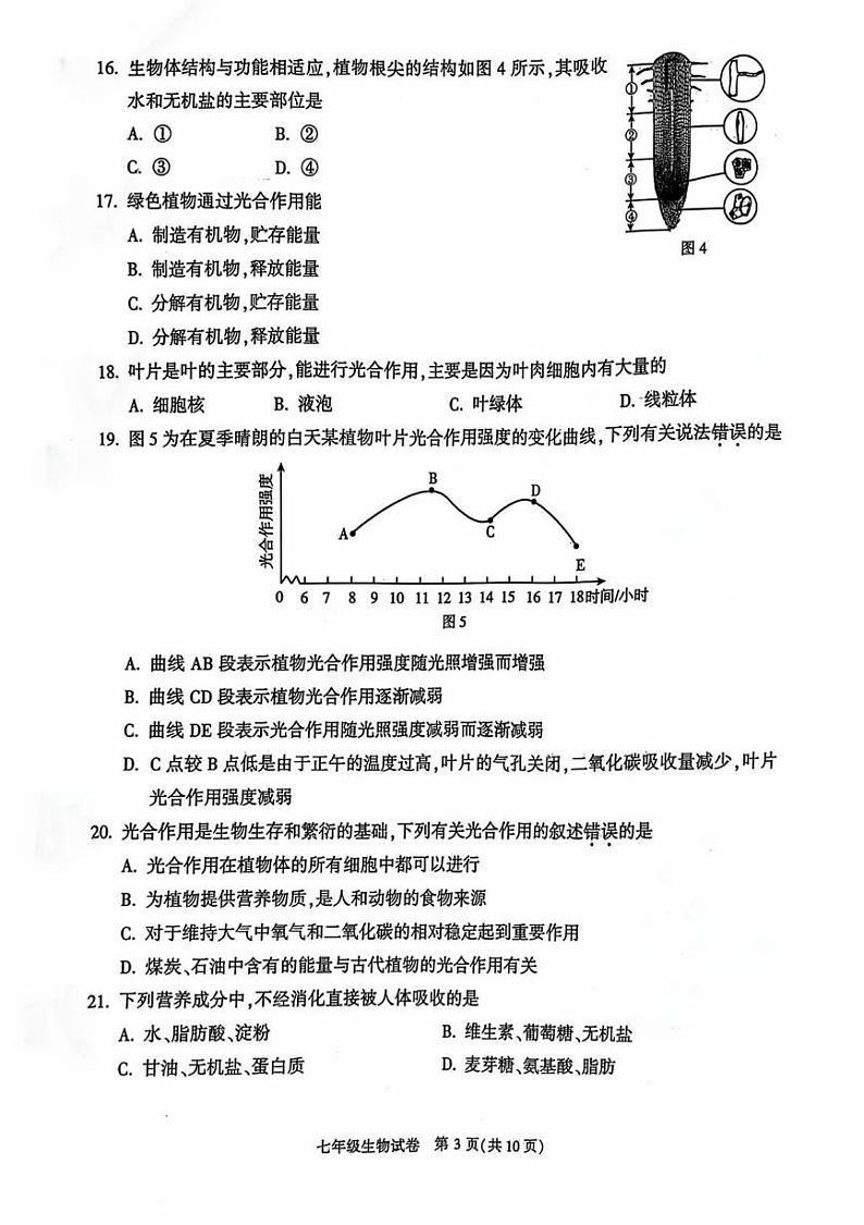 北京市顺义区2024-2025学年七年级上学期期末考试生物试卷第3页