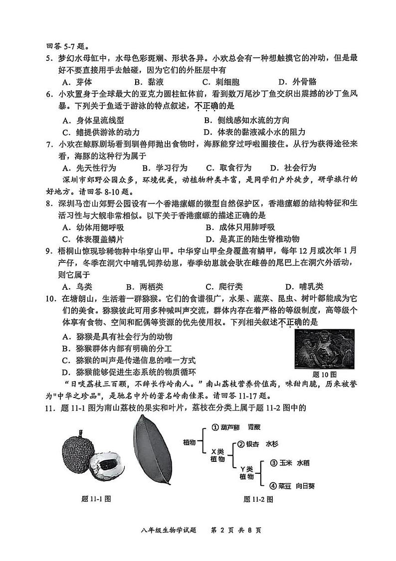 广东省深圳市龙岗区2024-2025学八年级上学期期末生物测试题第2页