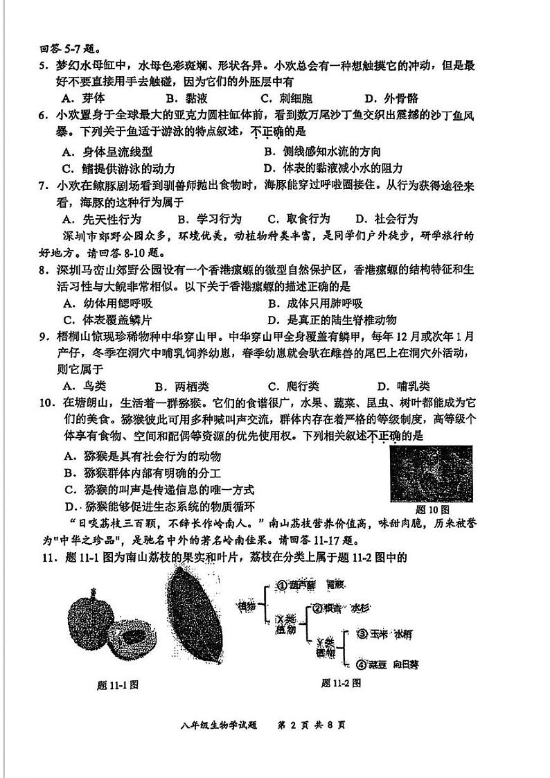 广东省深圳市龙岗区2024-2025学年八年级上学期期末考试生物试题第2页
