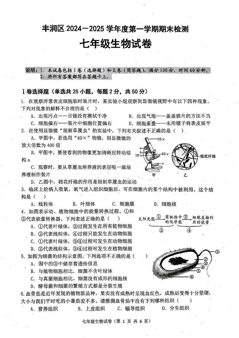 河北省唐山市丰润区2024-2025学年七年级上学期期末考试生物试卷第1页