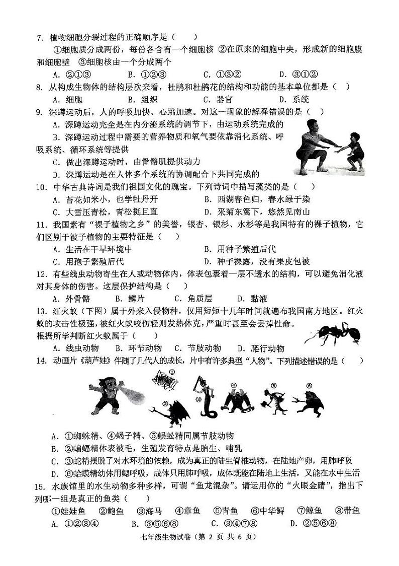 河北省唐山市丰润区2024-2025学年七年级上学期期末考试生物试卷第2页