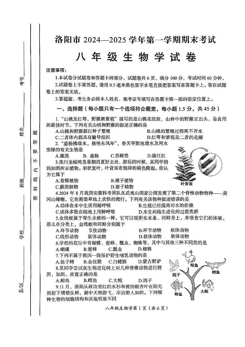 河南省洛阳市2024-2025学年八年级上学期期末考试生物学试卷第1页