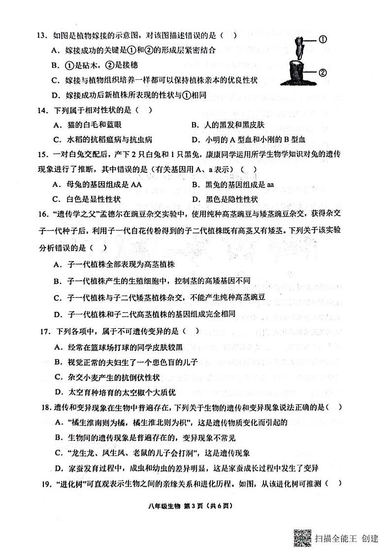 河南省周口市商水县2024-2025学年八年级上学期1月期末生物试题第3页