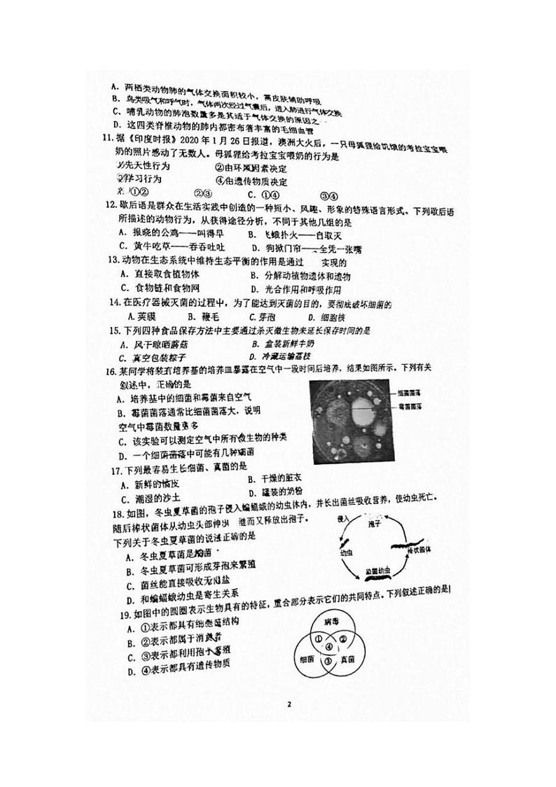 湖南省长沙市一中芙蓉中学2024-2025学年八年级上学期期末考试生物试卷第2页