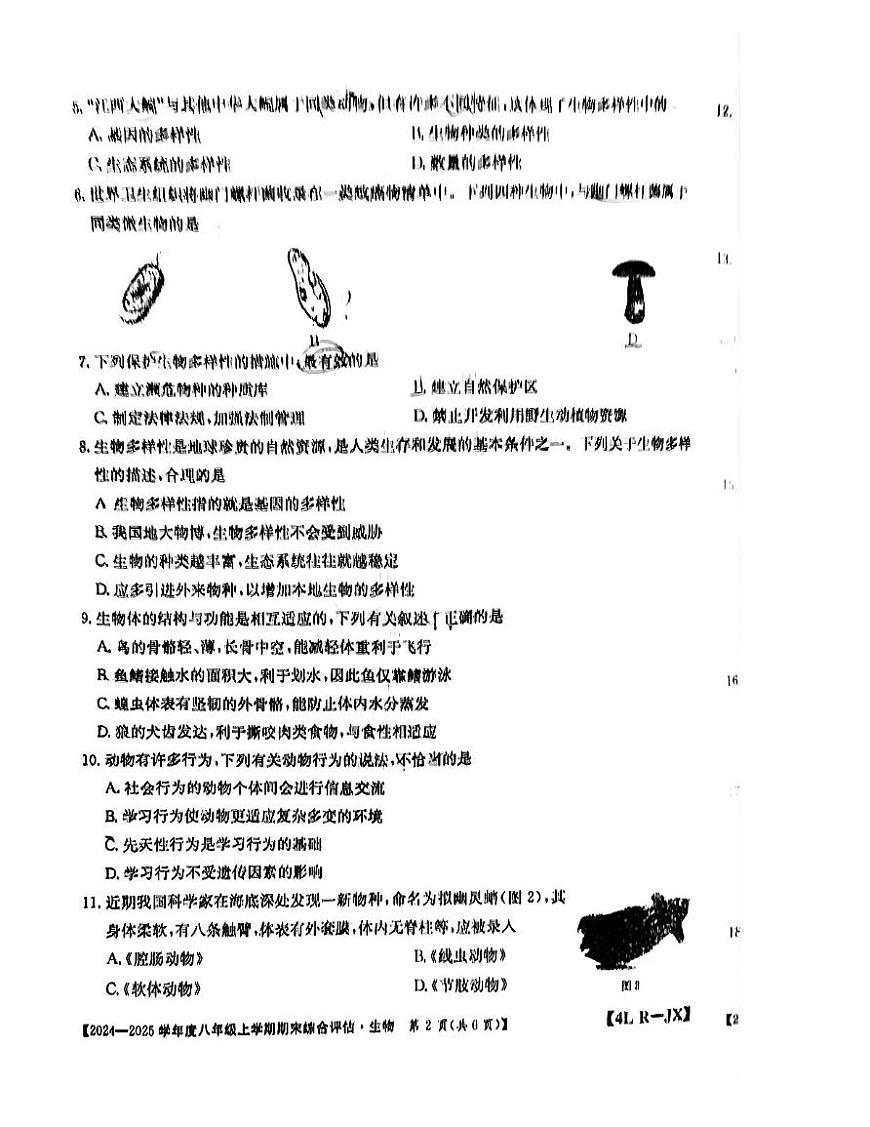 江西省上饶市鄱阳县四十里街中学2024-2025学年八年级上学期1月期末生物试题第2页