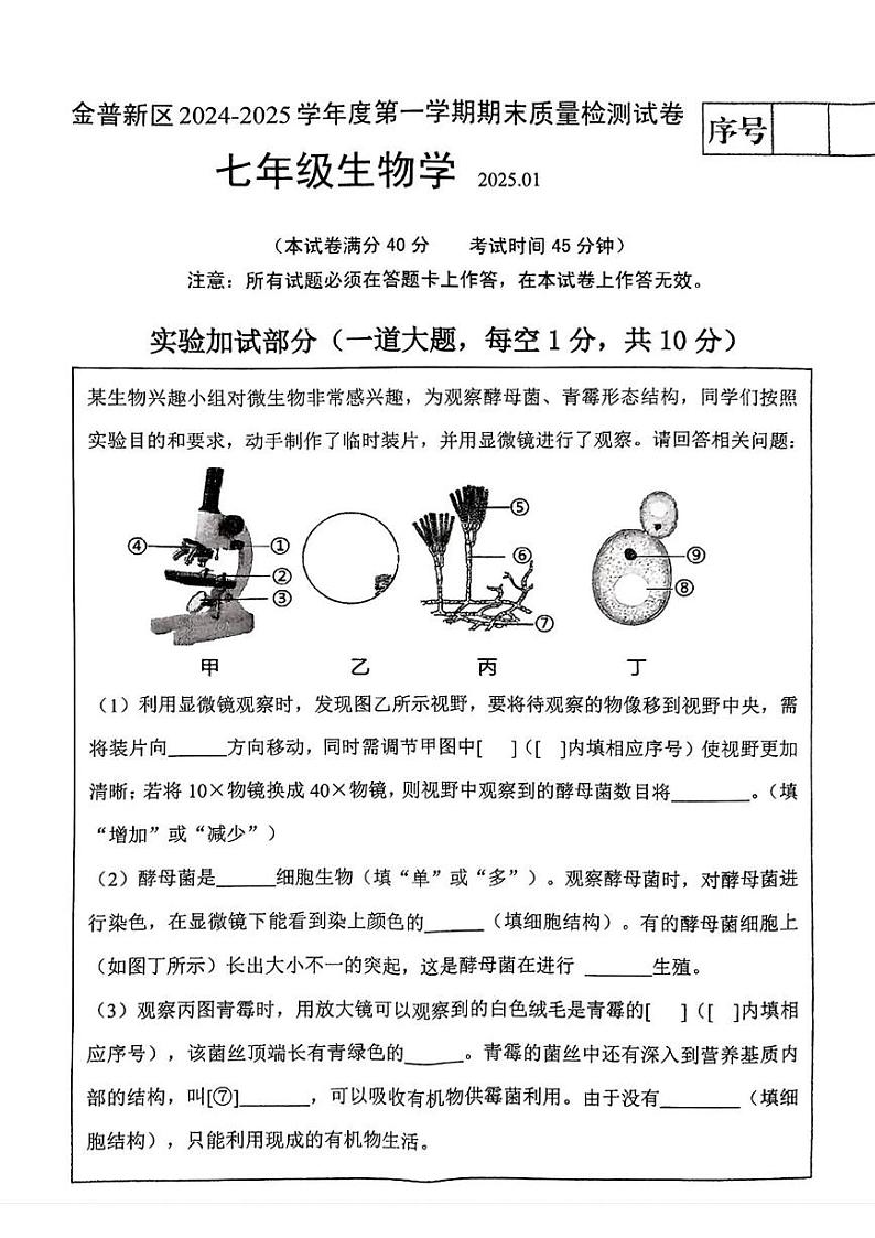 辽宁省大连市金普新区2024-2025学年七年级上学期期末考试生物试题第1页