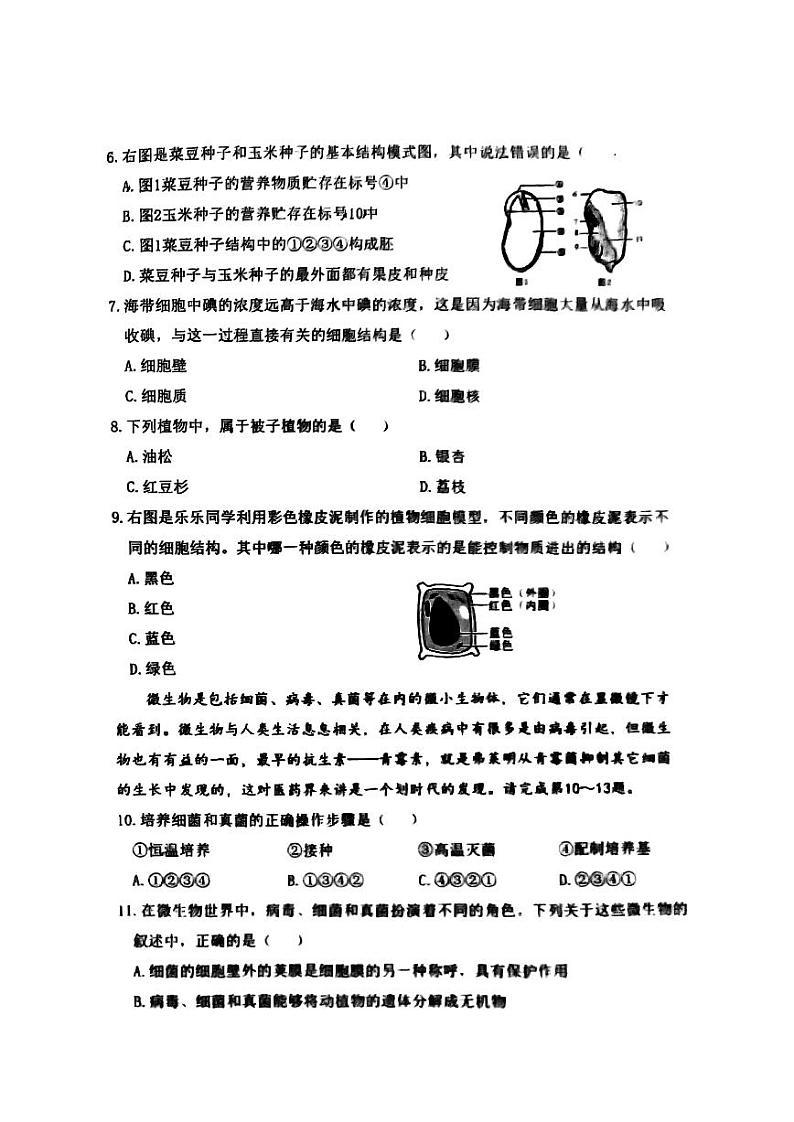哈尔滨市松北区2024-2025学年七年级上学期期末生物试卷和参考答案第2页