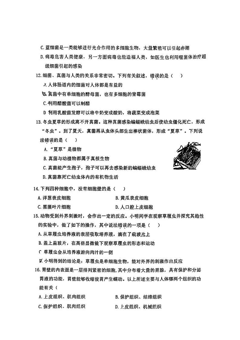 哈尔滨市松北区2024-2025学年七年级上学期期末生物试卷和参考答案第3页