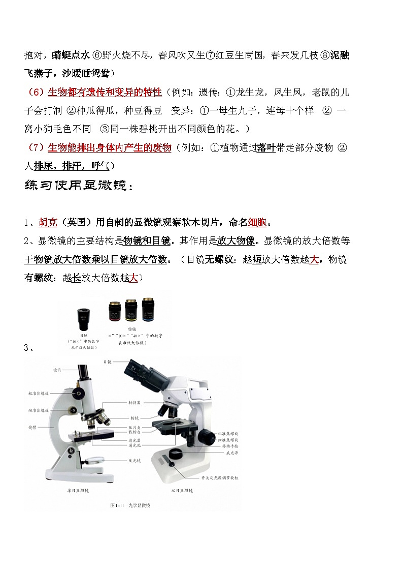 人教版（2024新版）七年级上册生物期末复习重要知识点提纲 学案第2页