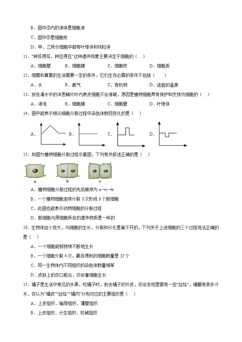 冀少版（2024新版）七年级上册生物期末检测模拟预测试卷 3套（含答案）第3页