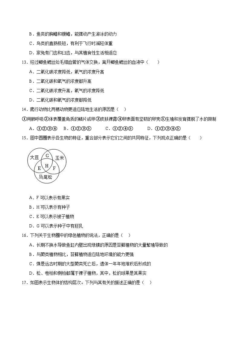 济南版（2024新版）七年级上册生物期末检测模拟预测试卷 3套（含答案）第3页