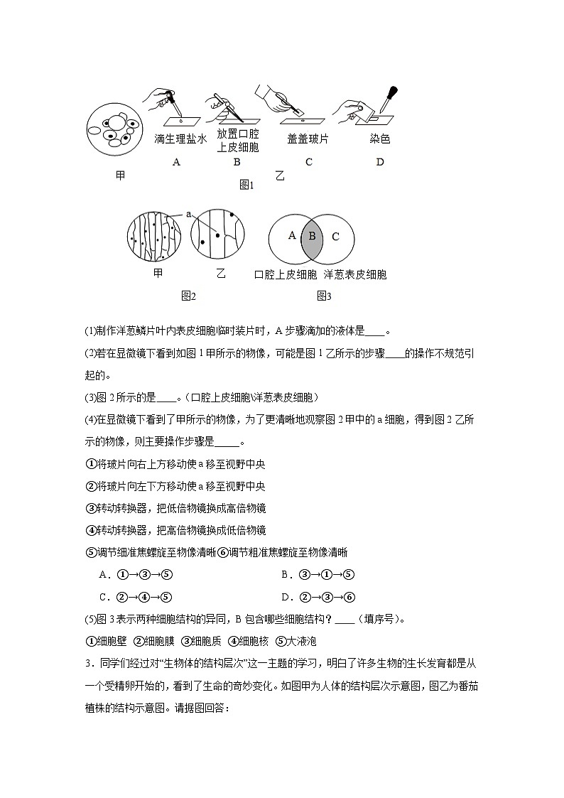 冀少版（2024）七年级上册生物期末复习：识图题 专题练习题（含答案）第2页