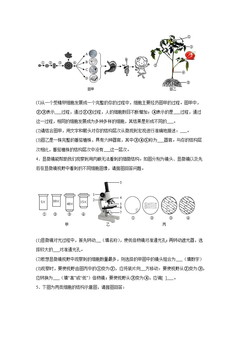 冀少版（2024）七年级上册生物期末复习：识图题 专题练习题（含答案）第3页