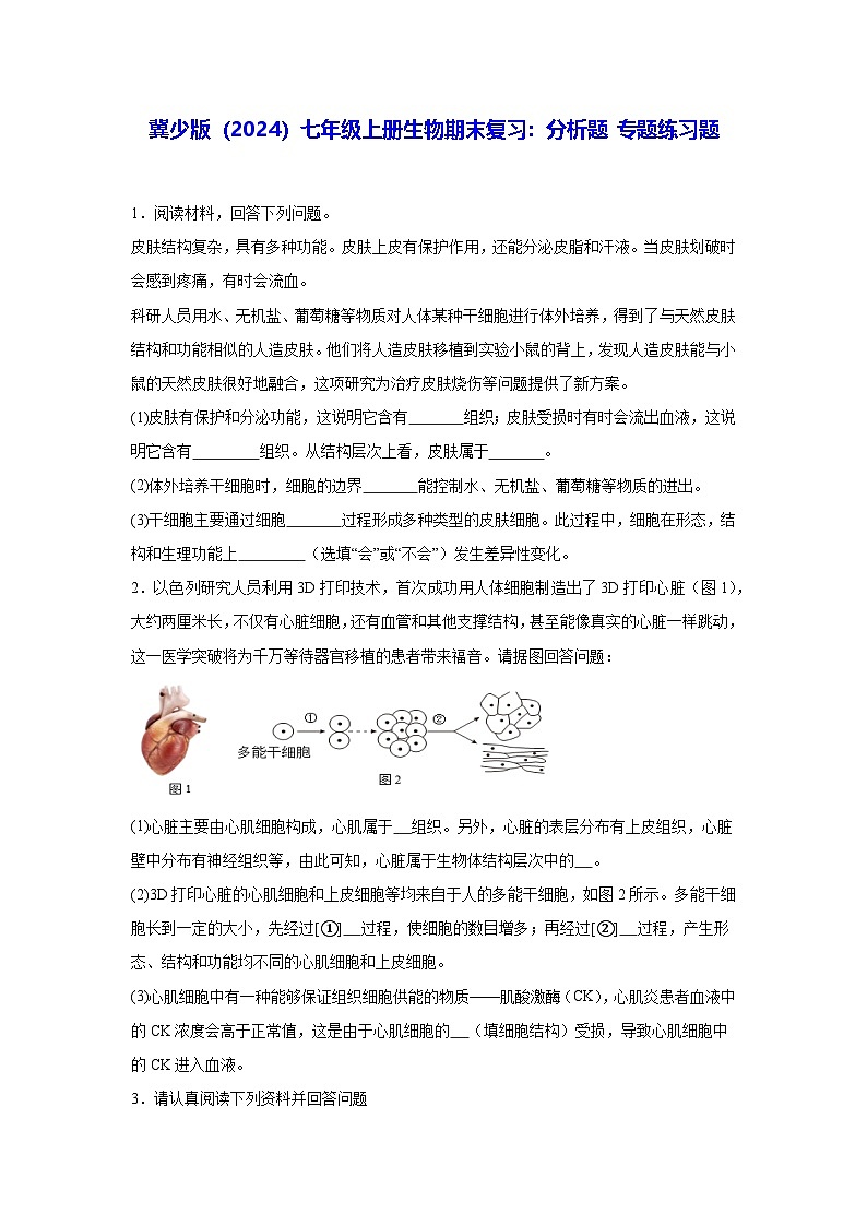 冀少版（2024）七年级上册生物期末复习：分析题 专题练习题（含答案）第1页