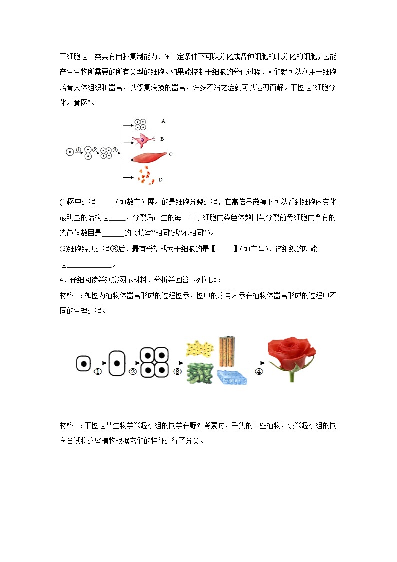 冀少版（2024）七年级上册生物期末复习：分析题 专题练习题（含答案）第2页