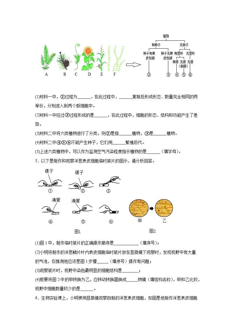 冀少版（2024）七年级上册生物期末复习：分析题 专题练习题（含答案）第3页