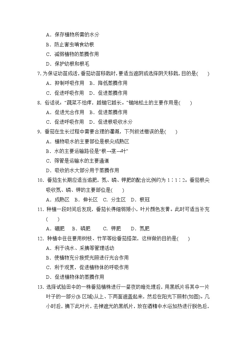 人教版（2025新版）七年级下册生物期中学业质量检测试卷（含答案）第2页