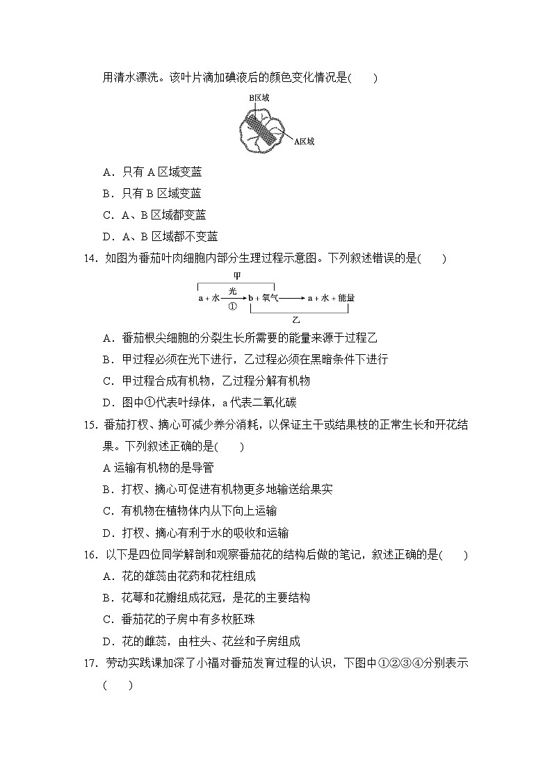 人教版（2025新版）七年级下册生物期中学业质量检测试卷（含答案）第3页