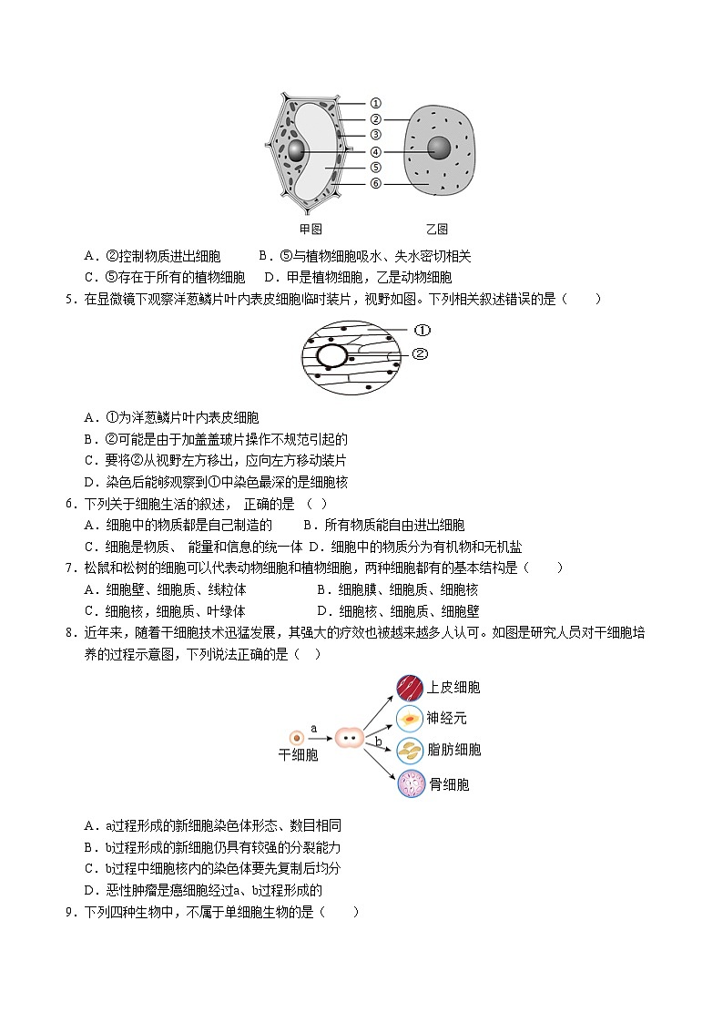 人教版（2024新版）七年级上册生物期末学业质量检测试卷（含答案解析）第2页