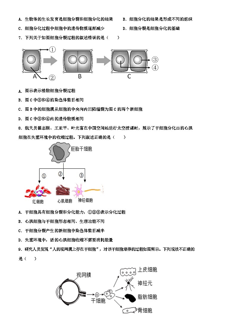 冀少版（2024新版）七年级上册生物期末检测模拟预测试卷3（含答案）第2页