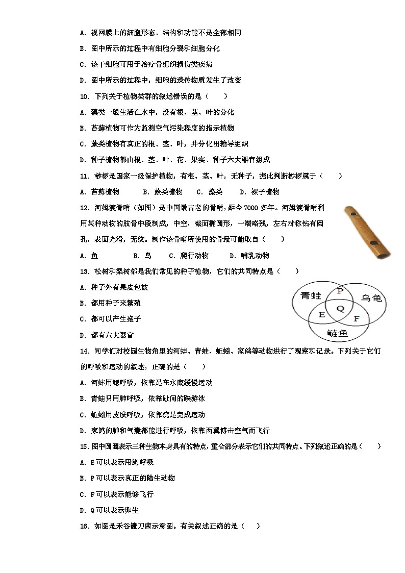 冀少版（2024新版）七年级上册生物期末检测模拟预测试卷3（含答案）第3页